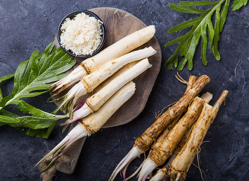 Hausmittel Meerrettich (Kren) 